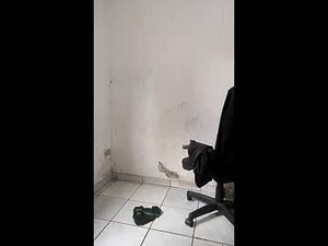 theyllorwillians's webcam