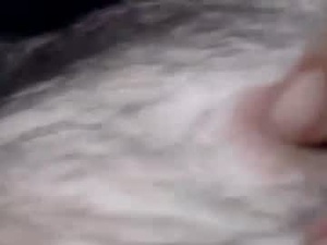 thiccbearsmall's webcam