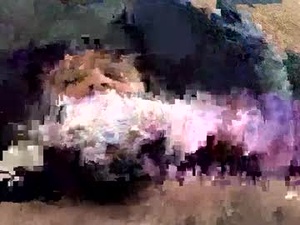 thickcockkris69's webcam