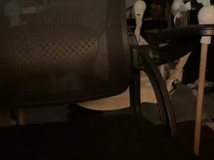 throrr's webcam