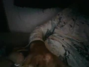 tinman2206's webcam