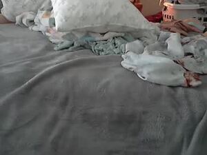 tipptopnotch1's webcam