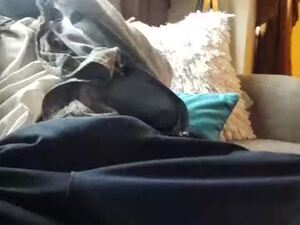 tjiii2427's webcam
