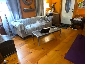 tnt_tinyntroubble's webcam