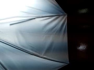 todd_rosset's webcam