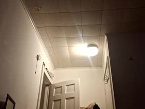 tonetanight's webcam