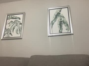 tonycardillo's webcam