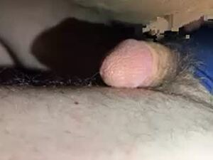 torborn's webcam