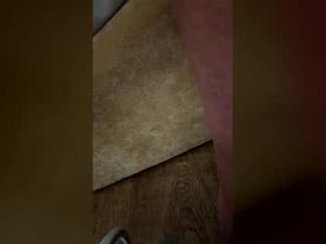 toritopaule's webcam