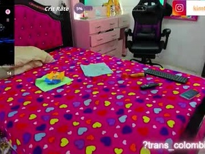 trans_colombia_'s webcam