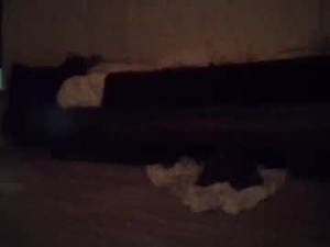 tsgoddessdani's webcam