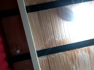 tulord's webcam