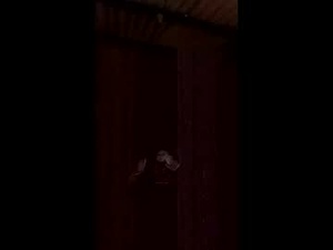 twinkvibes115842's webcam