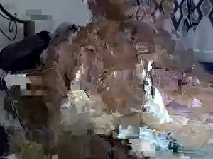tytycum14550's webcam