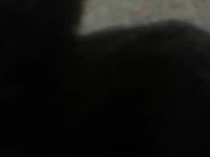 user__null's webcam