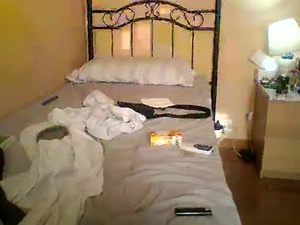 vendettarts's webcam