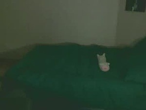 viola_bunny's webcam