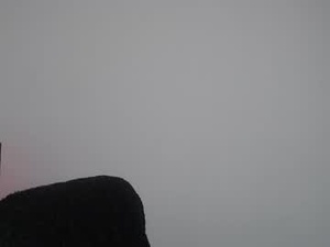 violettouse's webcam