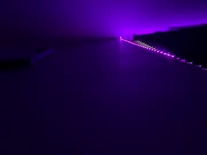vivalinajune's webcam