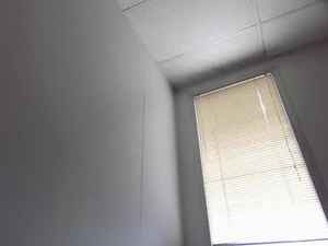 vixendicksin's webcam