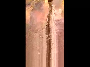 xxjessiebugxx's webcam