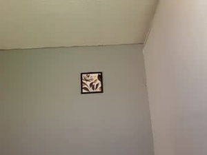 yisuscry66's webcam