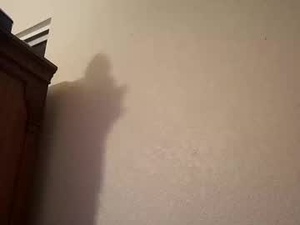 zacscooby21's webcam