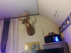 zaddysweetpea's webcam