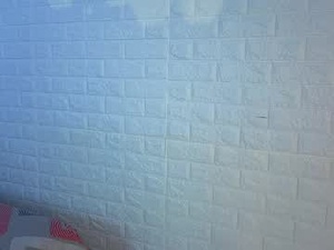 zahory_bellucci's webcam